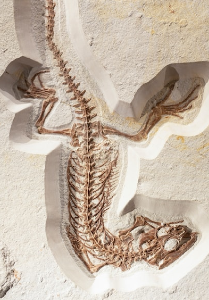 Imagen del taller - Detectives del pasado