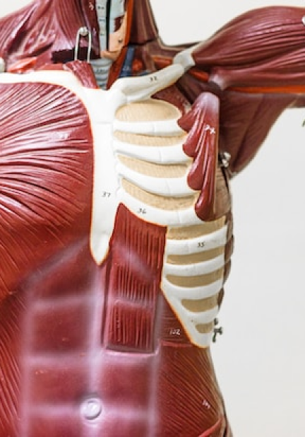 Imagen del taller - Mi digestión