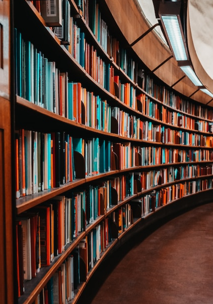 Imagen del taller - Visita a la biblioteca