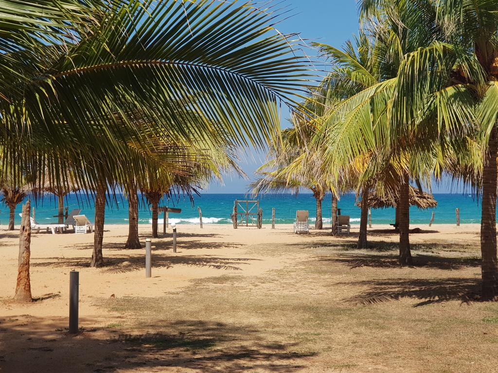 Exposición fotográfica del 4 de diciembre al 7 de enero. Pasillo Exposiciones Planta Baja.