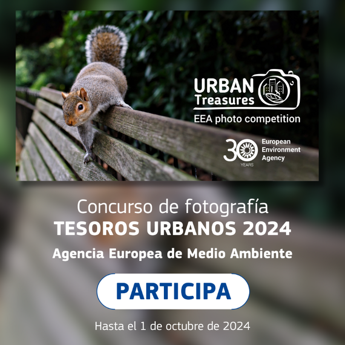 Imagen Concurso de Fotografía Tesoros Urbanos