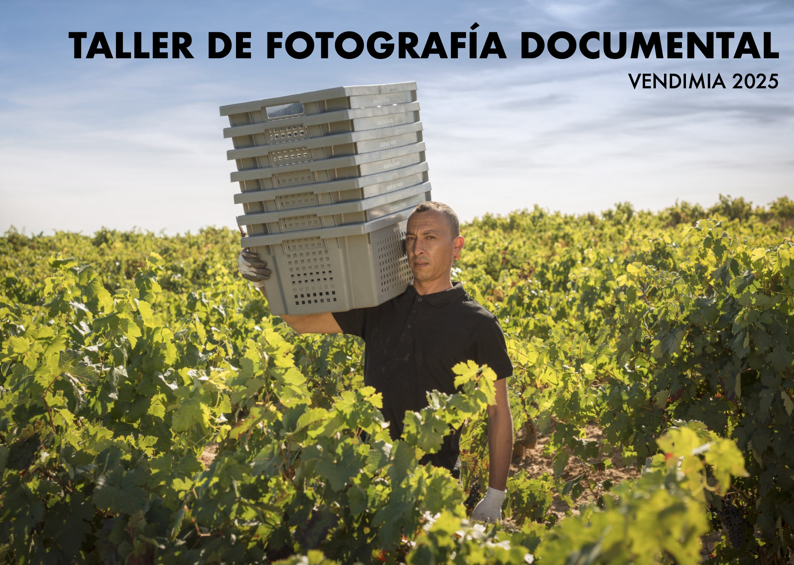 Taller de fotografía documental en la vendimia riojana