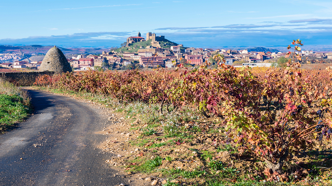 Ruta por San Vicente de la Sonsierra y de enoturismo familiar en Fuenmayor 