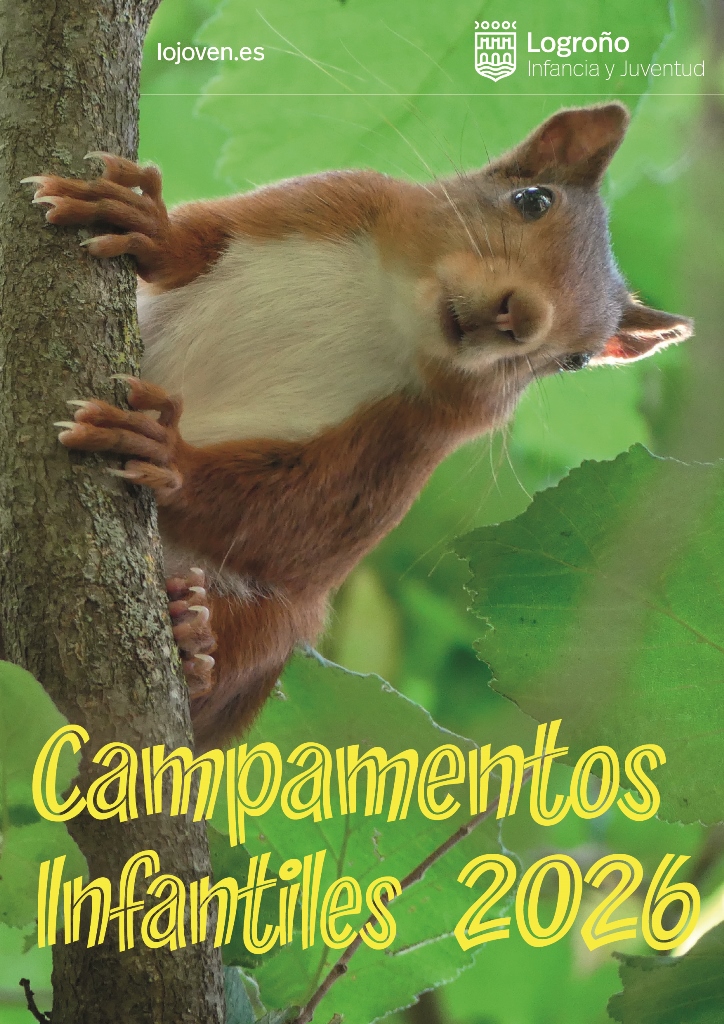 Imagen Campamentos Municipales Verano 2026